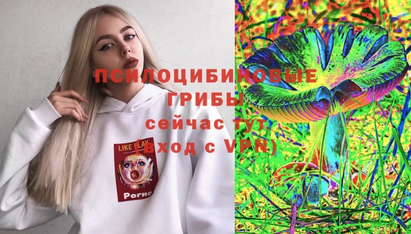 не бодяженный Алексин