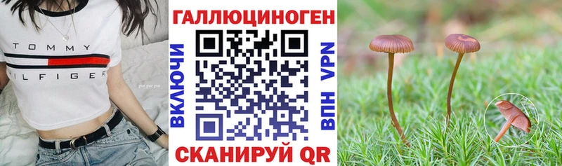 гидра зеркало  наркошоп  Томари  Галлюциногенные грибы MAGIC MUSHROOMS 